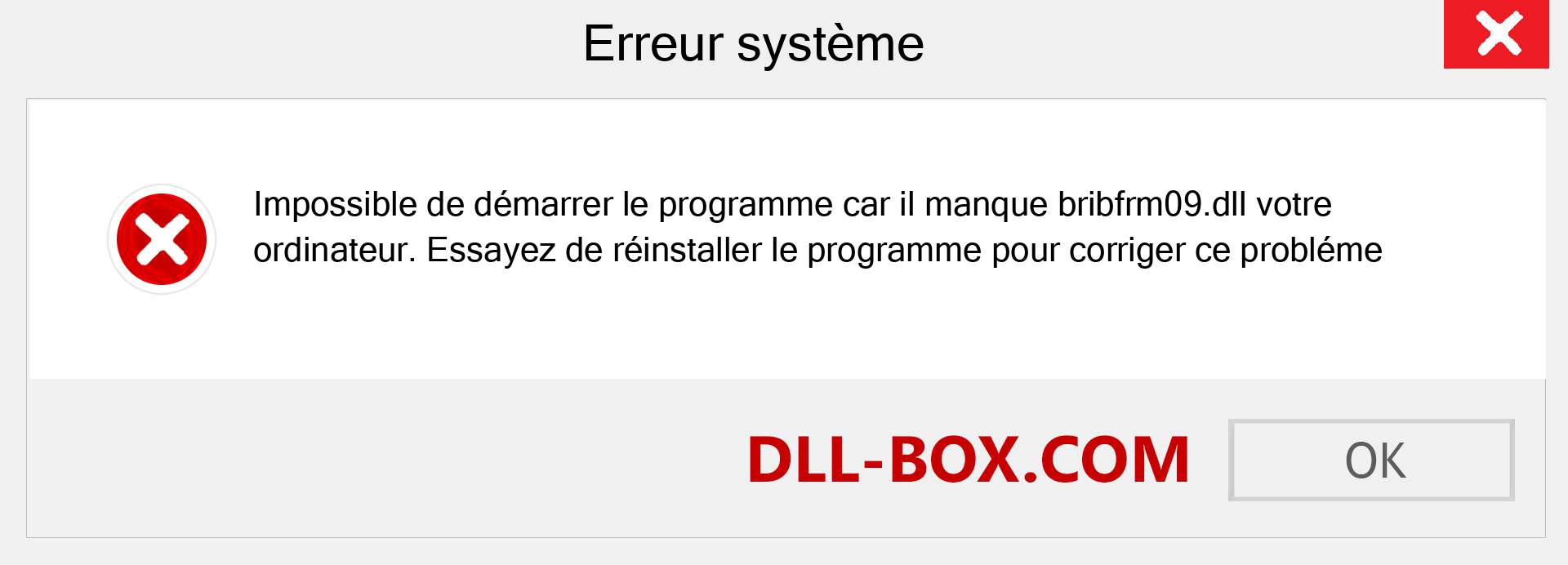 Le fichier bribfrm09.dll est manquant ?. Télécharger pour Windows 7, 8, 10 - Correction de l'erreur manquante bribfrm09 dll sur Windows, photos, images